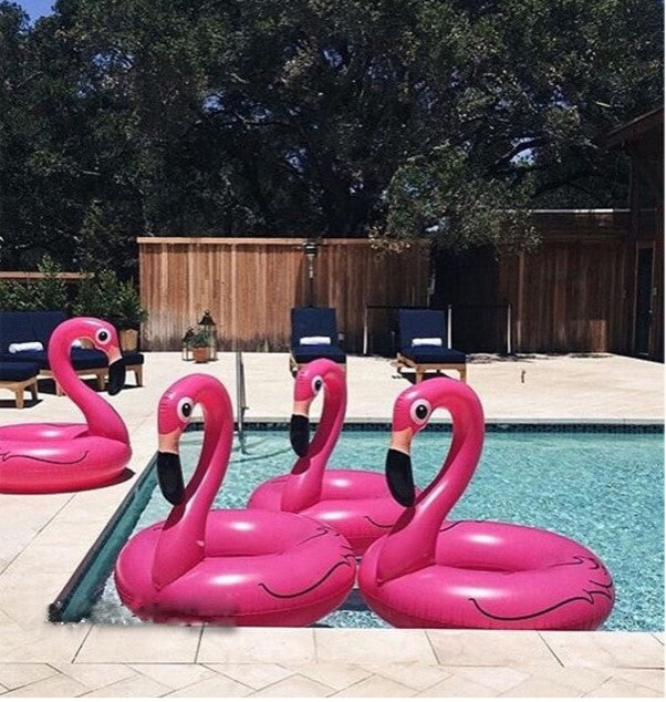 Giant Swimming Pool Flamingo